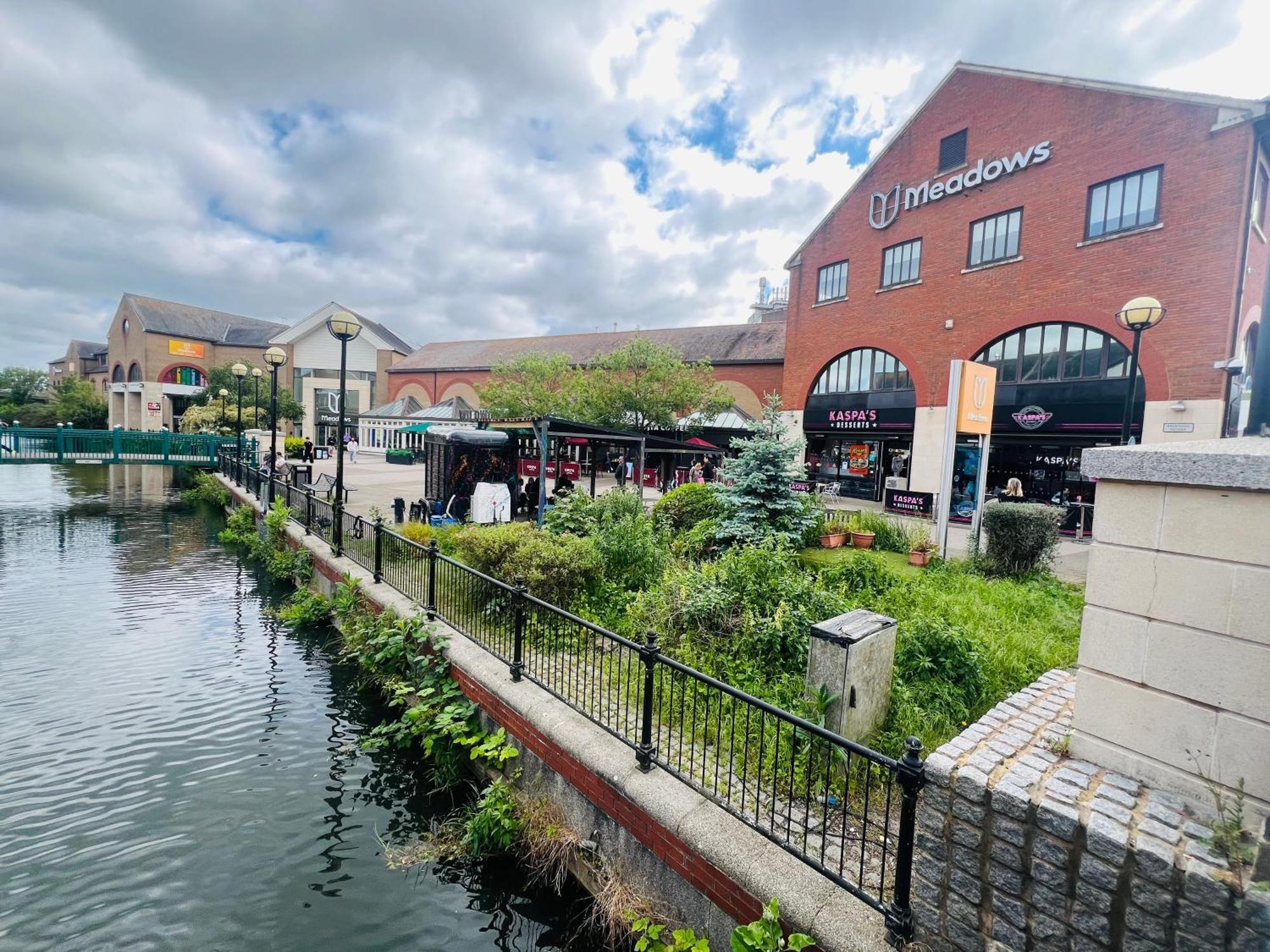 Centre Modern Duplex With Parking, Wi-fi & Netflix Apartment Chelmsford